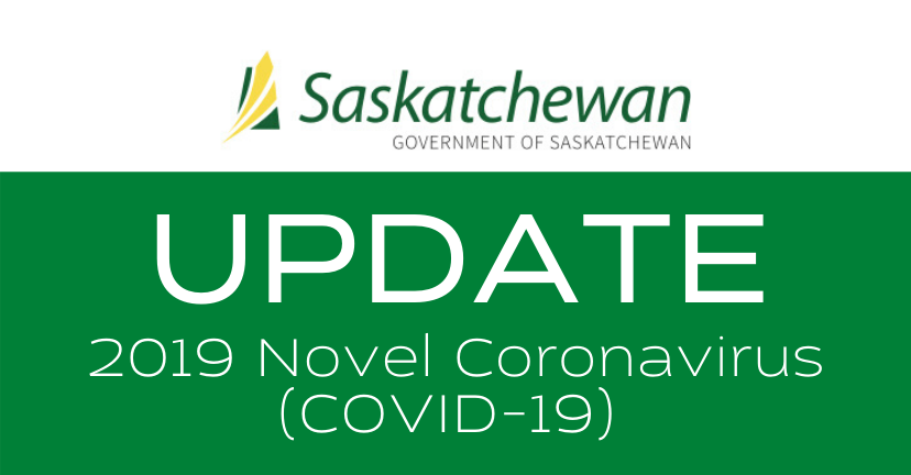 2019 Novel Coronavirus (COVID-19).png